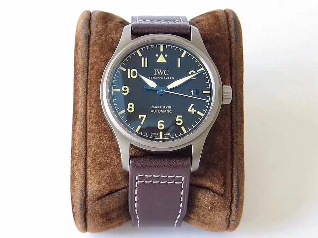 Replica IWC Mark XVIII Titanium Watch